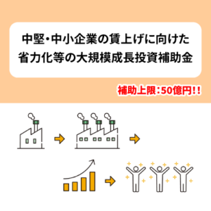 中堅・中小成長投資補助金のご案内